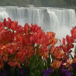 Meet your Posher, Diane